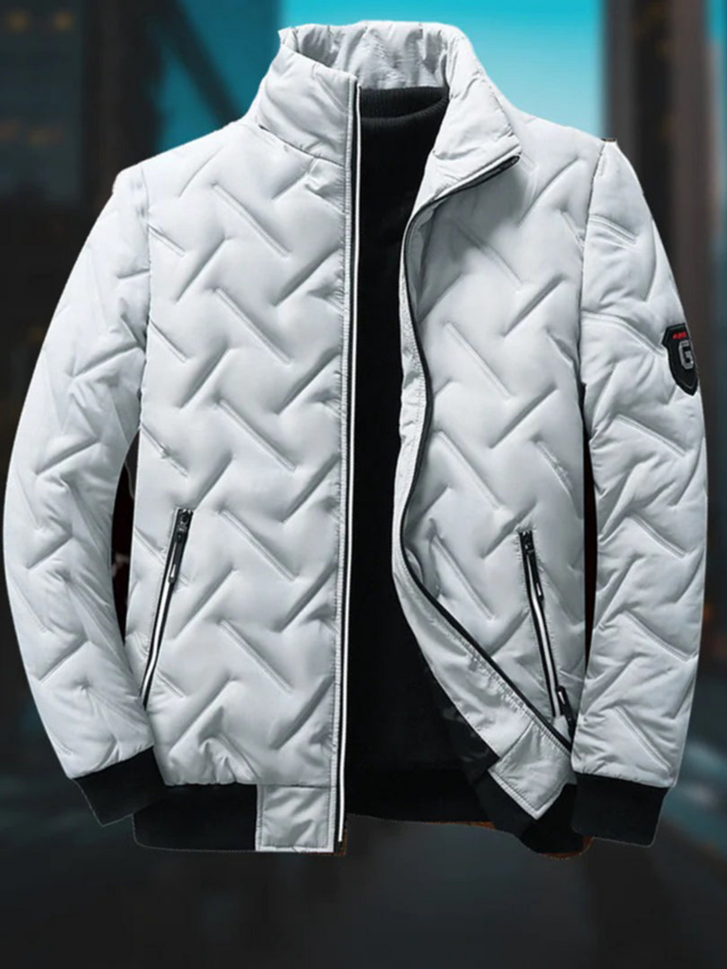 Climate-Resistant Jacket for Men | Winter | Gray