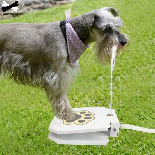 Automatic Dog Water Fountain – Step-On Toy for Large, Medium, Small Dogs