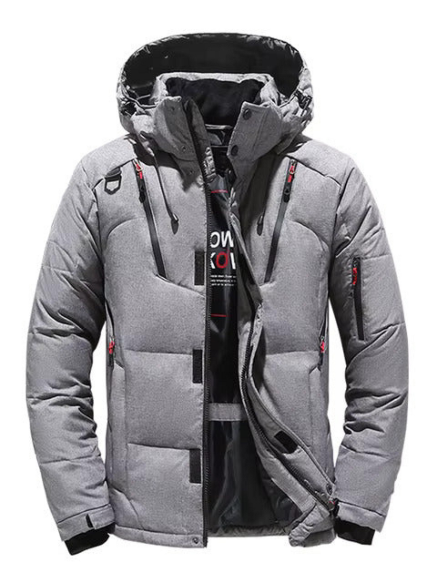 Winter Down Jacket for Men | Quilted, Hooded | gray