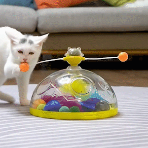 Purrfect Playtime Cat Toy