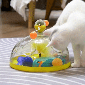 Purrfect Playtime Cat Toy